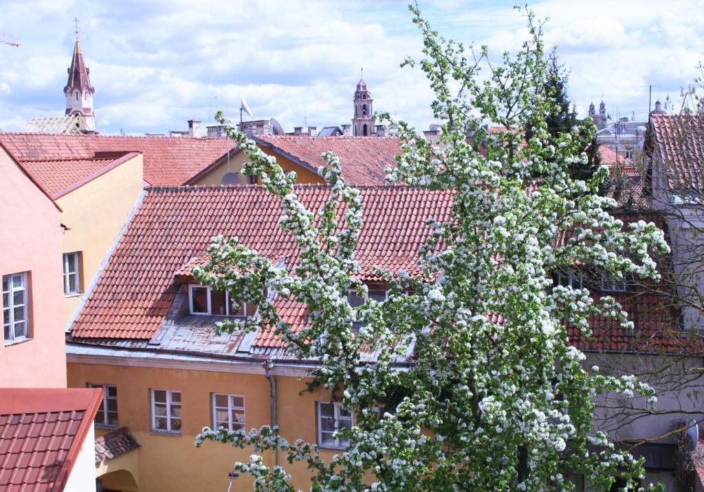 Old Town Apartment Antokolskio Vilnius Luaran gambar